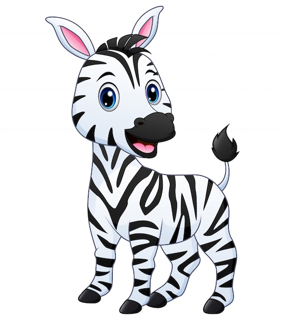 Download Desenho Zebra Bebe-desenho zebra bebe ~ Imagens para ...