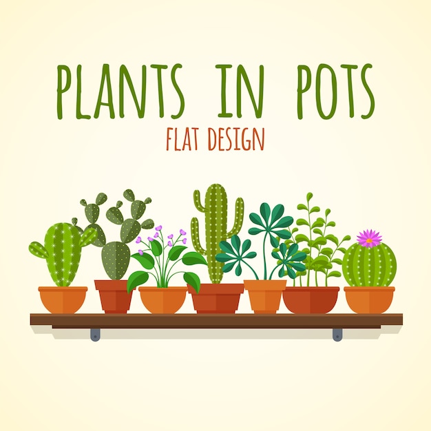Cactus piani e concetto di casa plantas. pianti il cactus in vaso, illustrazione interna del fiore della natura Vettore Premium