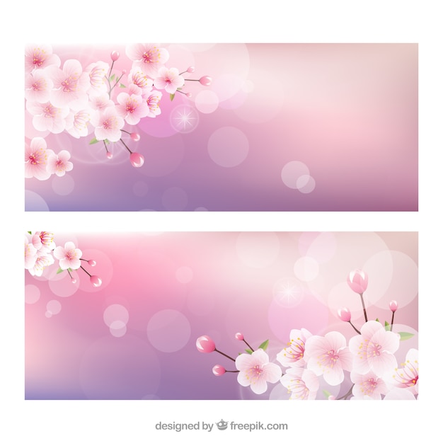 Cherry blossoms striscioni con effetto bokeh Vettore gratuito