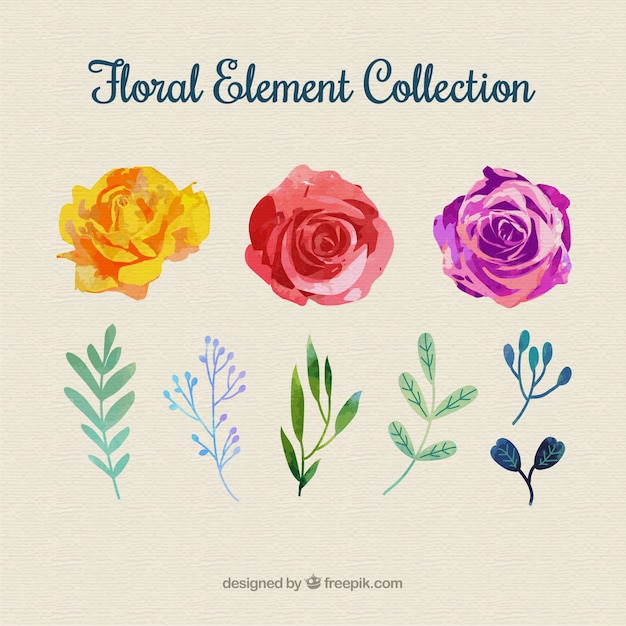 Collezione di elementi floreali colorati con design piatto Vettore gratuito