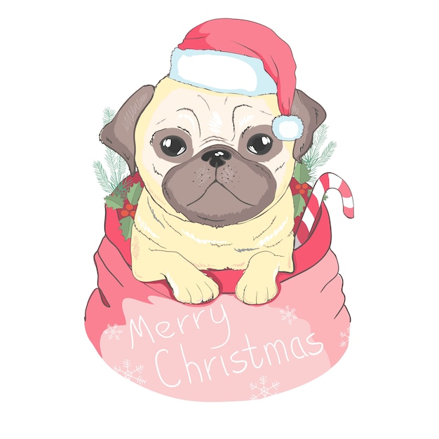 Buon Natale Un Ca.Cucciolo Carino In Un Cappello Di Babbo Natale E Sciarpa Illustrazione Vettoriale Cane Di Razza Auguri Di Buon Natale Vettore Premium