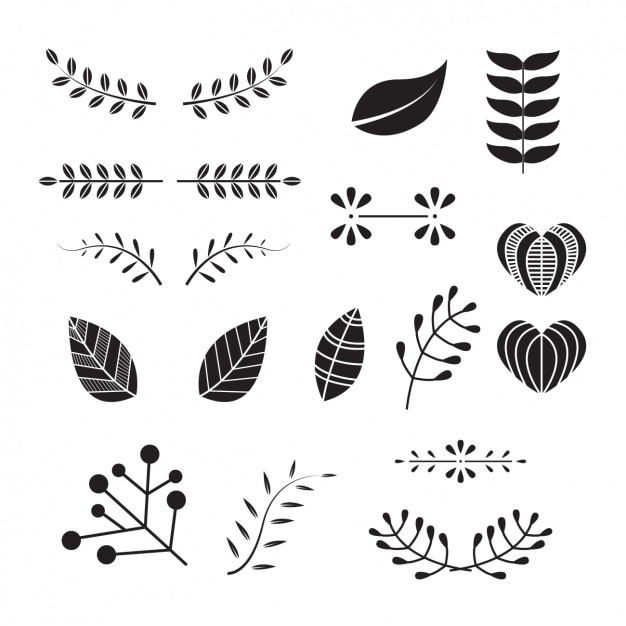 Download Decorative leaves collection | Vettore Gratis