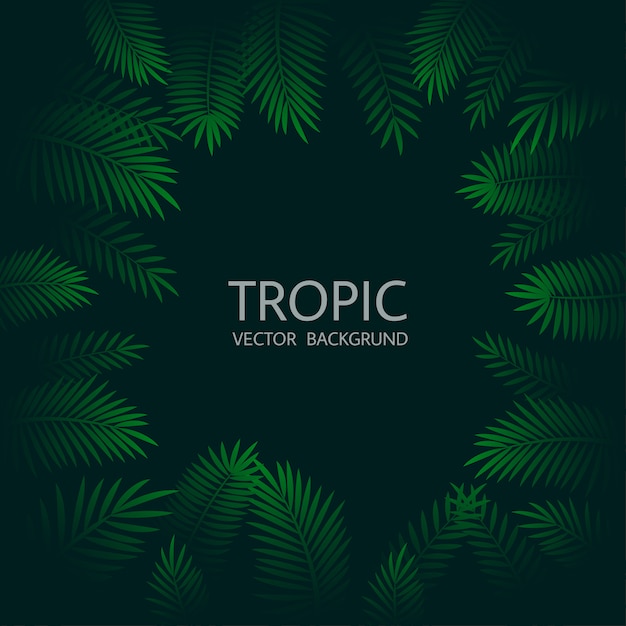 Design con foglie di palma tropicali esotiche e scritte. Vettore Premium