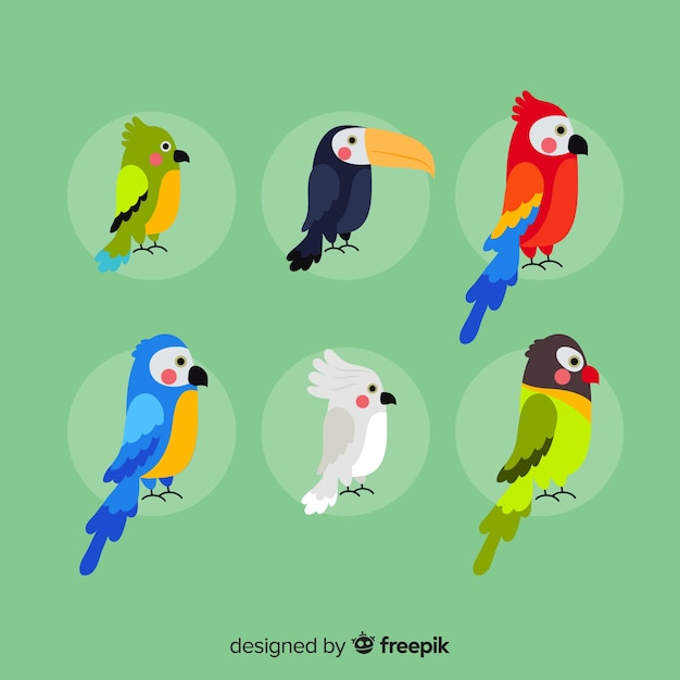 Design piatto collezione di uccelli esotici Vettore gratuito