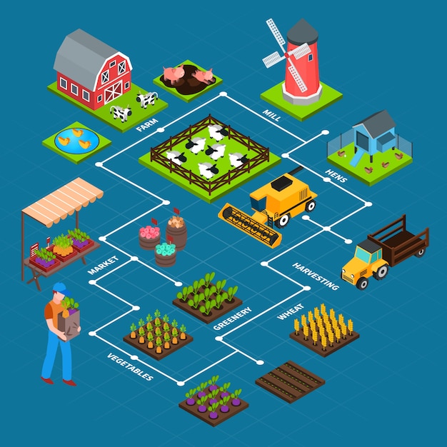 Diagramma Di Flusso Isometrico Dellazienda Agricola Vettore Gratis 0942