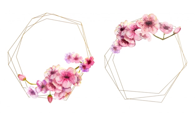 Fiore di ciliegio, ramo di sakura con fiori rosa su montatura in oro e isolato su bianco. immagine di primavera. 2 cornici con fiori ad acquerelli. illustrazione. Vettore Premium