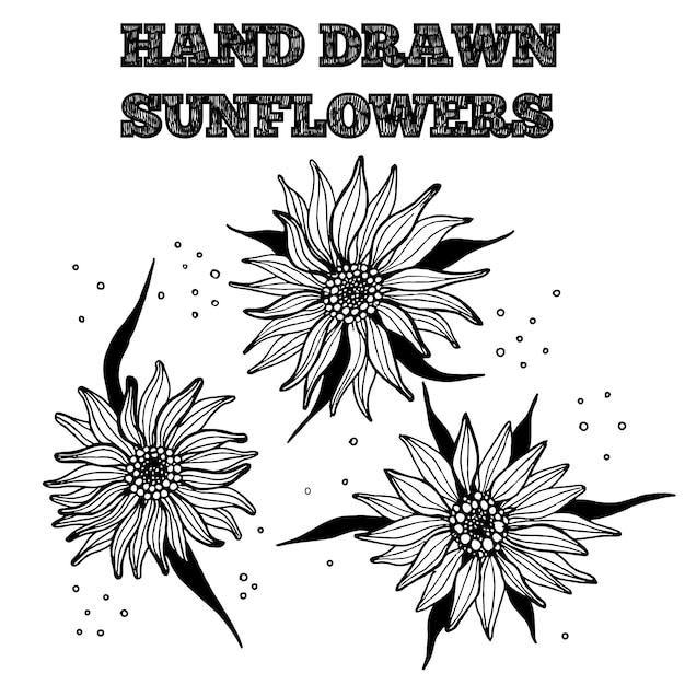 Disegno Girasole Bianco E Nero Disegni Hd