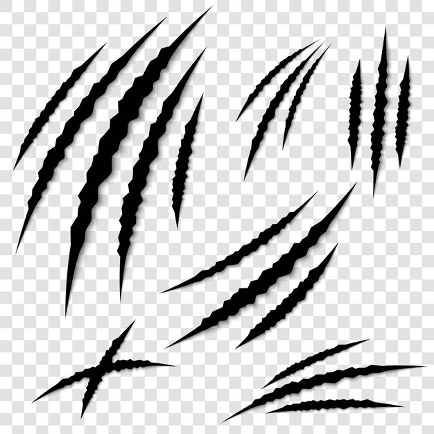 Graffi delle zampe dell'artiglio. scratch di orrore animale. Vettore Premium