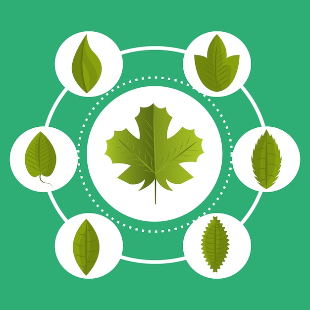 Grafica di ecologia di foglie e foglie Vettore gratuito