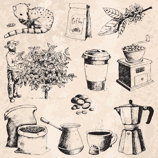 I fagioli di raccolto disegnati a mano dell'agricoltore di produzione del caffè sull'albero e sul disegno d'annata bevono il retro schizzo della raccolta del caffè Vettore Premium