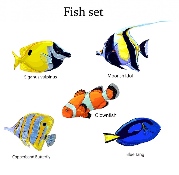 Illustrazione stabilita di vettore del pesce Vettore Premium