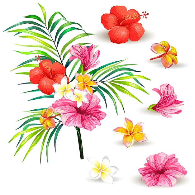 Illustrazione vettoriale di un ramo realistico stile di una palma tropicale con fiori di ibisco Vettore gratuito Illustrazione vettoriale di un ramo realistico stile di una palma tropicale con fiori di ibisco Vettore gratuito