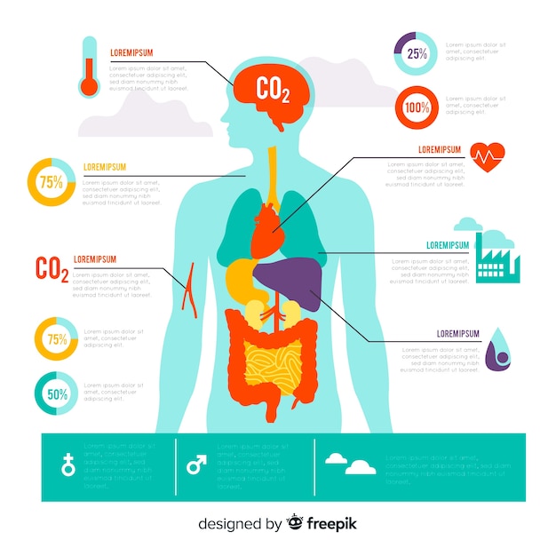 Inquinamento Sullinfografica Del Corpo Umano Vettore Gratis