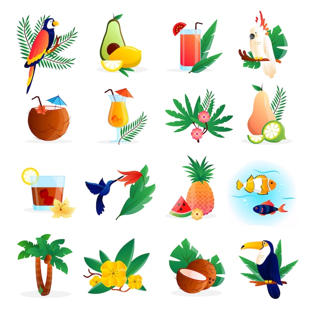 L'icona tropicale ha messo con i frutti e gli uccelli dei fiori dei cocktail Vettore gratuito