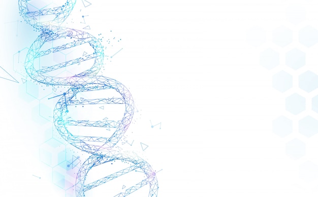 Maglia della struttura delle molecole del dna del wireframe su fondo bianco. concetto di scienza e tecnologia Vettore Premium
