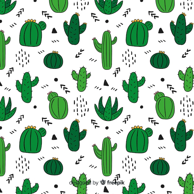 Modello di cactus Vettore gratuito