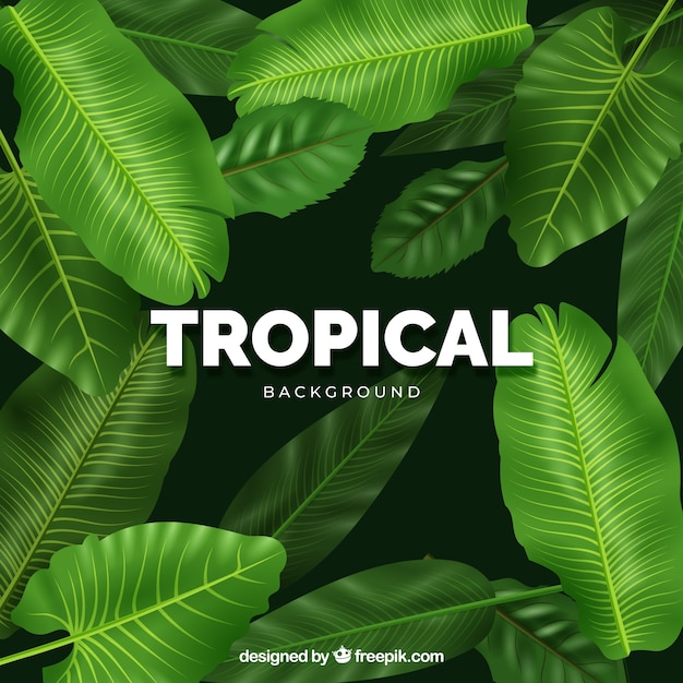 Moderno sfondo tropicale con un design realistico Vettore gratuito