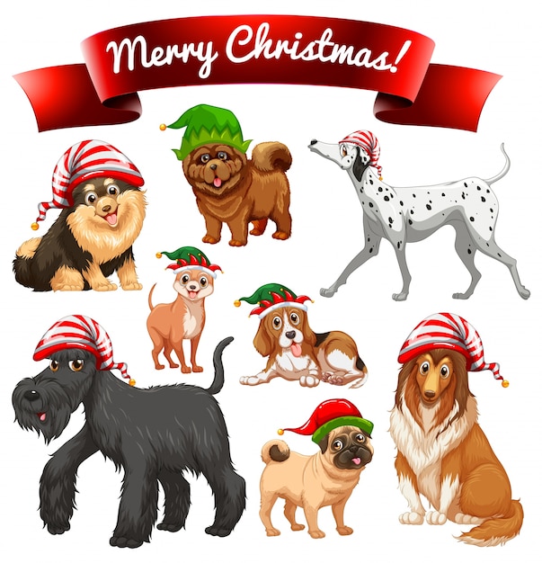 Immagini Di Natale Con Cani.Natale A Tema Con I Cani In Cappelli Da Elfo Vettore Gratis