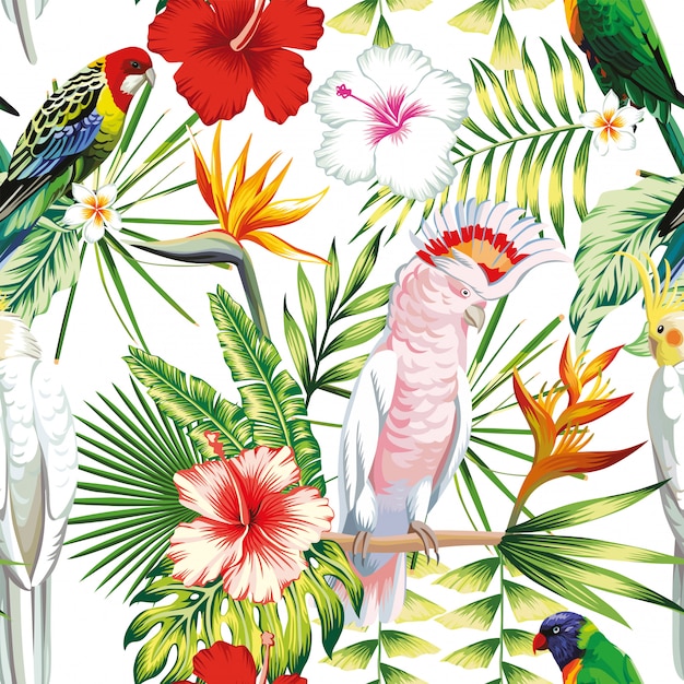 Pappagallo di uccelli multicolor esotici multicolor senza cuciture, ara con piante tropicali, foglie di palma di banana, fiori strelitzia, ibisco Vettore Premium