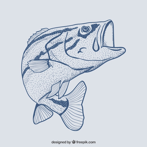 Pesce disegnato a mano Vettore gratuito