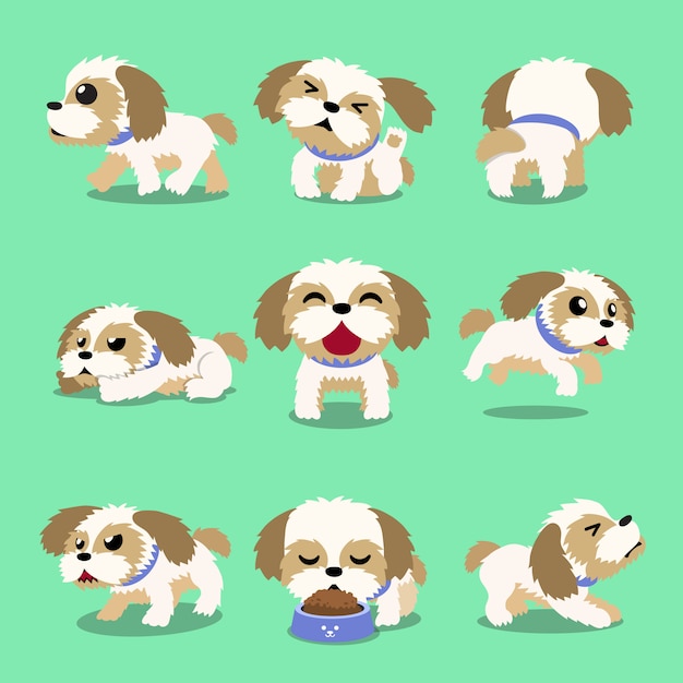 Pose del cane di tzu di shih del personaggio dei cartoni animati Vettore Premium