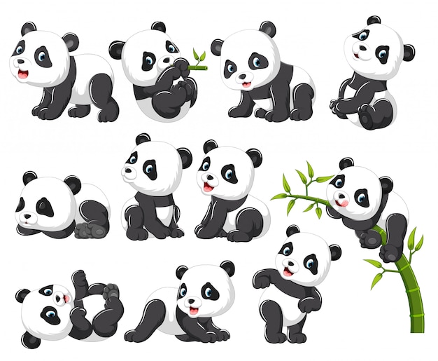 Raccolta di panda felice con varie pose Vettore Premium