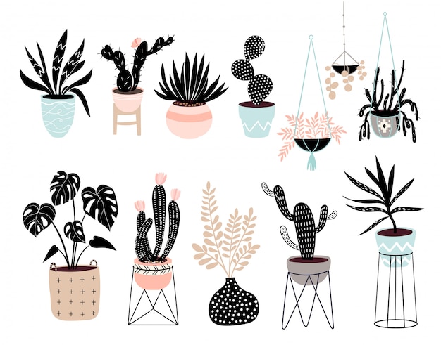 Raccolta disegnata a mano delle piante della casa con differenti piante tropicali isolate Vettore Premium