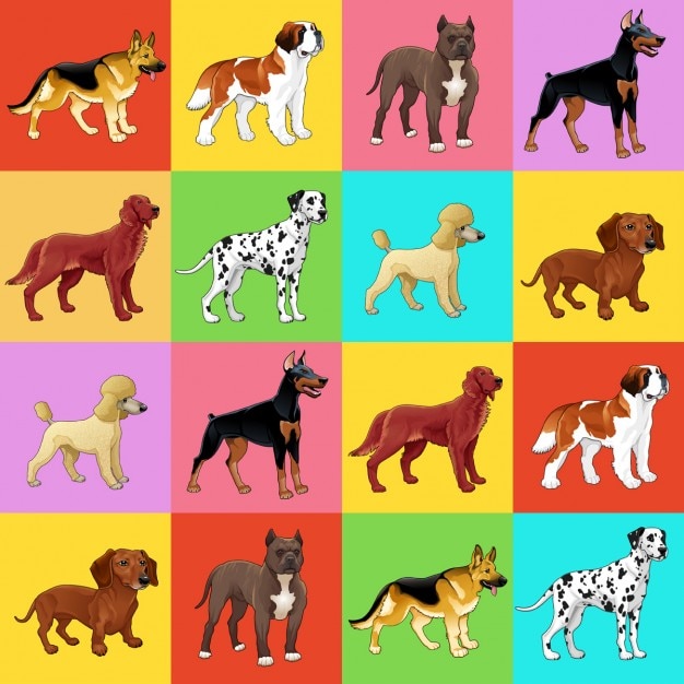 Set di cane con sfondo per una possibile imballaggio o grafica Vettore gratuito
