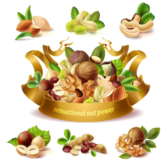 Set di diversi tipi di frutta a guscio, nocciole, arachidi, mandorle, pistacchio, noci, anacardi Vettore gratuito