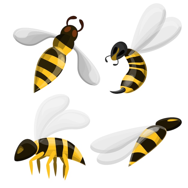 Set di icone di wasp, stile cartoon | Vettore Premium