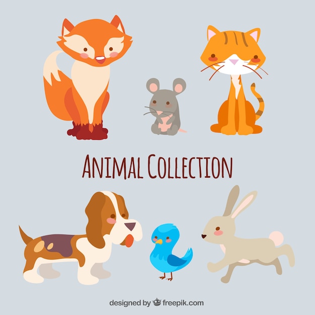 Set Di Sei Bellissimi Animali Vettore Gratis