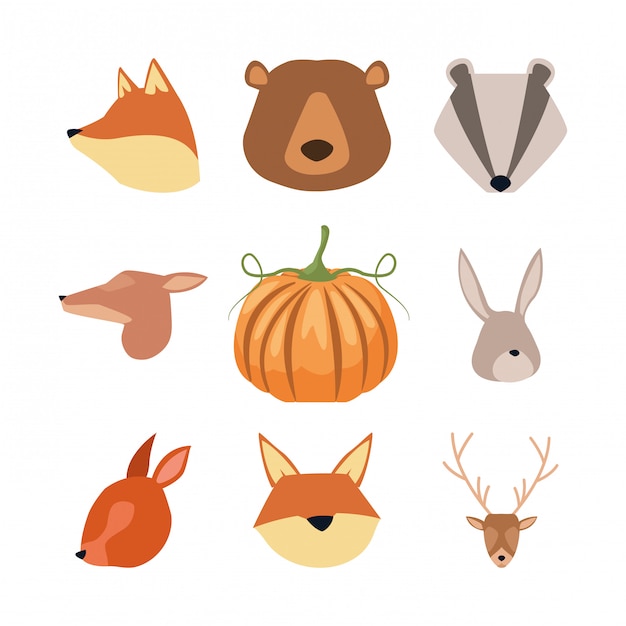 Set di teste di animali selvatici e zucca Vettore Premium