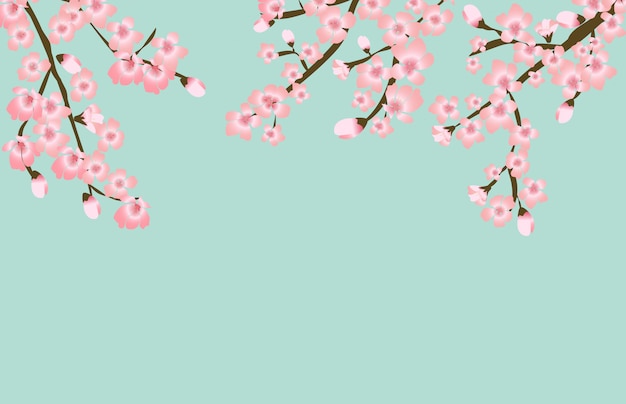 Sfondo Naturale Giapponese Floreale Astratto Di Sakura Flower Vettore Premium
