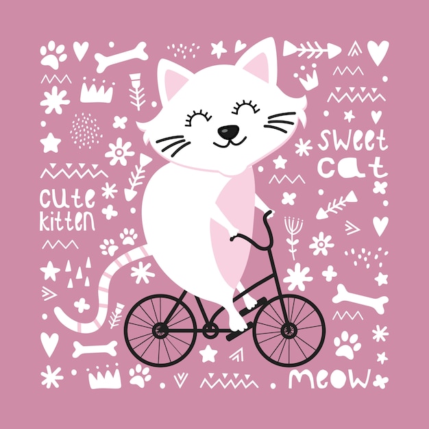 gatto in bicicletta