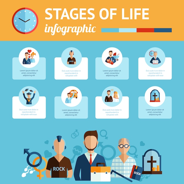 stampa-del-report-infografica-sulle-fasi-della-vita-vettore-gratis