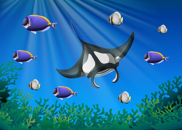 Stingray e molti pesci sotto l'oceano Vettore gratuito