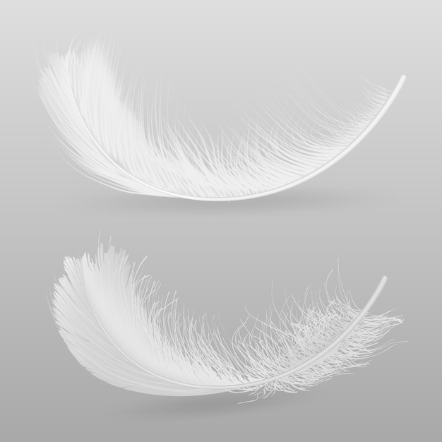 Uccelli che volano o cadono piume bianche, soffici 3d illustrazione vettoriale realistico isolato su sfondo grigio. simbolo di morbidezza e fragilità. concetto di design decorativo di tenerezza e purezza Vettore gratuito