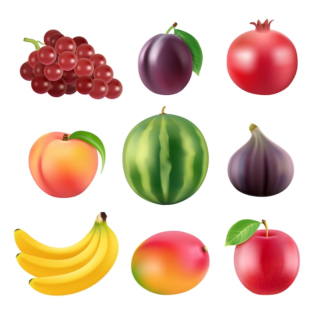 Vari frutti realistici Vettore Premium