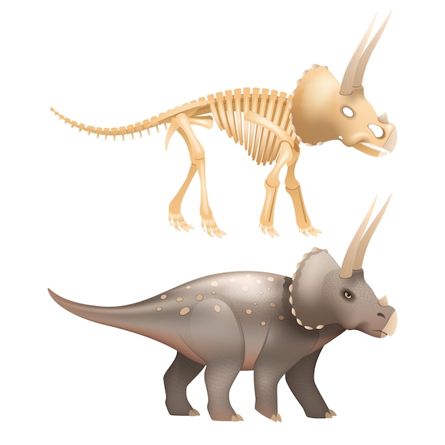 Vita triceratopo dinosauro con scheletro in epoca preistorica art Vettore gratuito