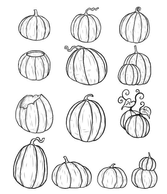 Zucca Di Halloween A Mano Di Disegno Set Di Zucca In