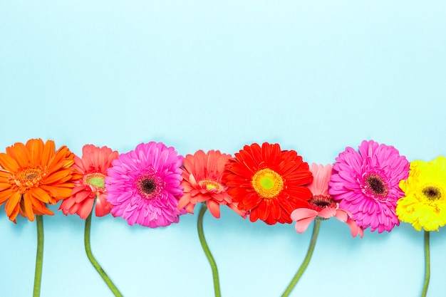 Bloemen Gratis Foto