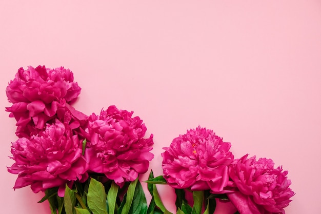 Bloemkader met verse takken van roze pioen op pastelkleur roze achtergrond met exemplaarruimte Premium Foto