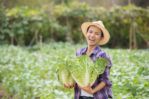 Boeren werken in chinese kool boerderij Gratis Foto