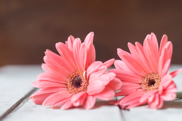Verbazingwekkend Close-up van de mooie bloemen in houten oppervlak | Gratis Foto HQ-66