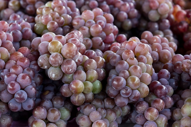Close-up van trossen druiven Premium Foto