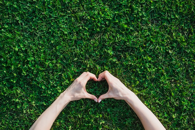 De hand die van het wijfje hartvorm over groen gras maakt Gratis Foto