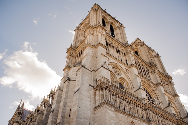 De kathedraal van notre dame de paris. notre dame de paris is een middeleeuwse katholieke kathedraal aan de le de la cit in het vierde arrondissement van parijs. Premium Foto