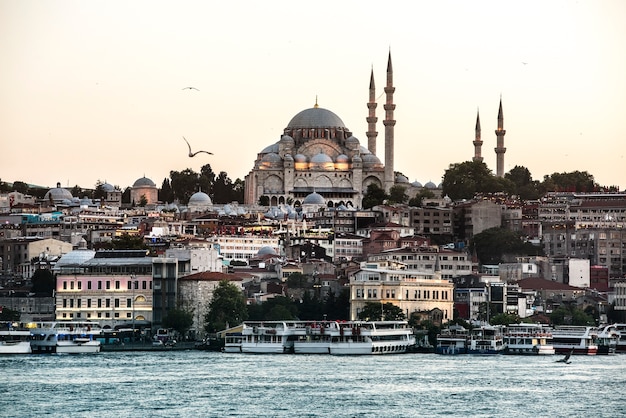 De oceaan van Istanboel met cruiseschip Gratis Foto
