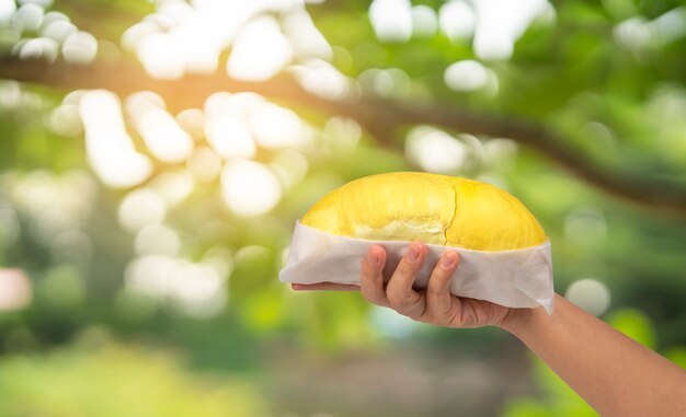 Durian Op Natuurlijke Boerderij Vrouw Met Smakelijke Biologische Gele Heerlijke Durian Gezond Eten Concept Premium Foto