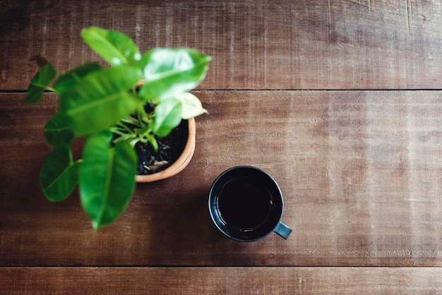 Een kopje thee en een plant op een tafel Premium Foto